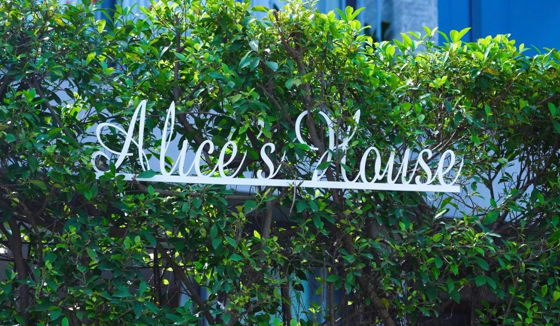 Alice House Hoi An - River View With Swimming Pool Villa